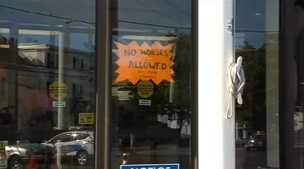 Spritbutik, Bajs, Ponny, Polis